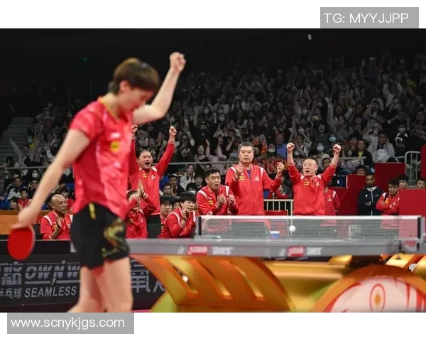 武汉乒乓球队在世界杯预选赛中的默契配合与精彩表现分析