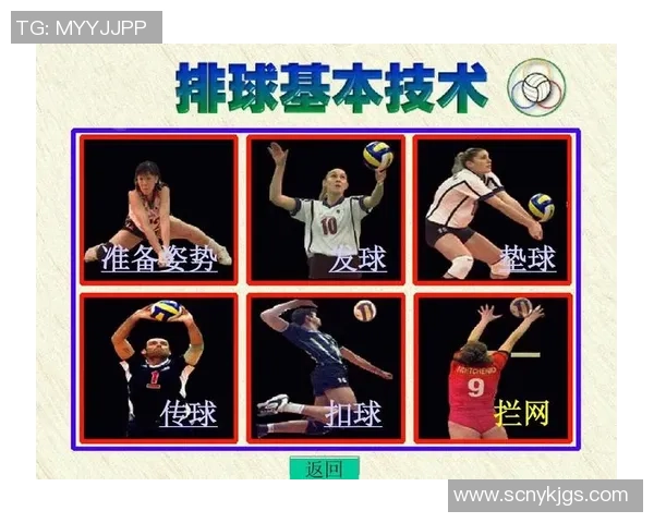 武汉排球队技术揭秘：排球巨献背后的训练与战术分析