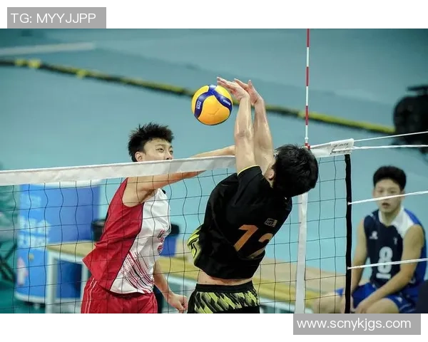 排球评论：重庆排球队的运营得失